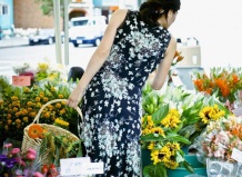 Что говорят о нас наши любимые цветы