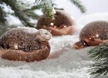 Модные тенденции Рождества 2015/2016