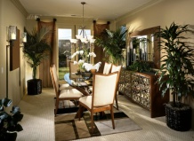 Комнатные растения для плохо освещенных помещений