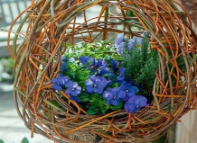 Кашпо и другие садовые элементы из ивовых прутьев