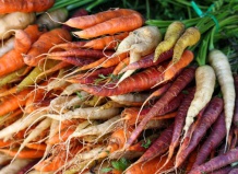 10 цветных овощей, которые всех удивят