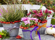 Осень на балконе и террасе