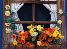 15 осенних композиций для оконных ящиков, от которых дух захватывает 