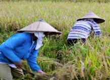 Агрохимия для 