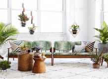 Швейцария - история интерьеров и растений 