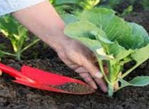 Агрохимия для 