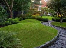 Формировка топиарных форм из лиственных кустарников и деревьев