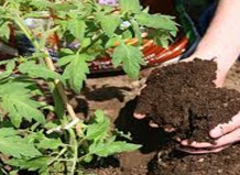 Агрохимия для 