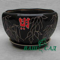 Сакура розпис купить