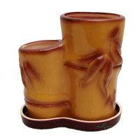 Бамбук подвійний купить