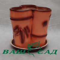 Бамбук тройной купить