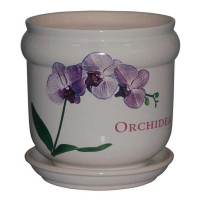 Бриз орхідея купить