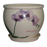 В'єтнам №2 орхідея купить