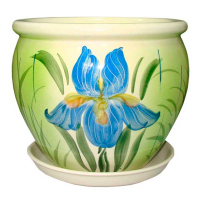 В'єтнам №3 ірис купить