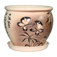 В'єтнам №3 бабочка купить