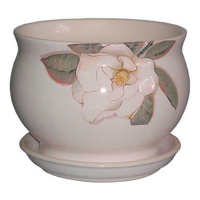 Глорія №1 магнолія купить