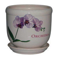 Желудь орхидея купить