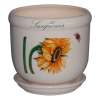 Желудь подсолнух купить