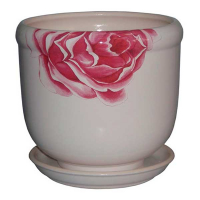 Желудь флора купить