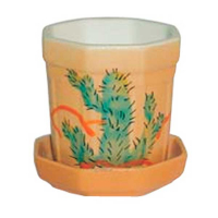 Кактусник купить