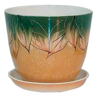 Кедр №3 листя купить