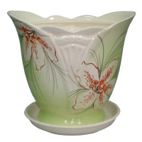 Лотос №1 лілія купить