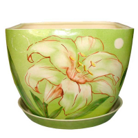 Ноктюрн №1 лілія купить