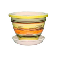 Фиалочница купить