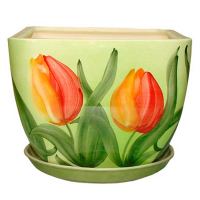 Ноктюрн №2 тюльпан купить