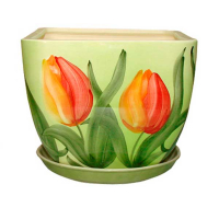 Ноктюрн №3 тюльпан купить