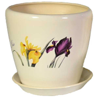 Грація №4 білий Ірис купить