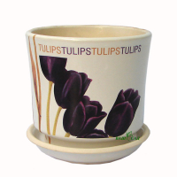 Мальва №2 белый Тюльпан купить