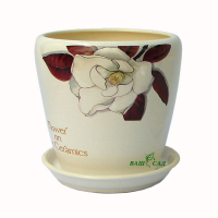 Грація №3 білий Магнолія купить