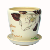 Грація №4 білий Магнолія купить