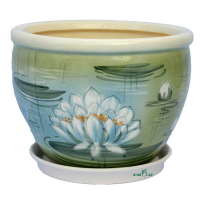 Вьетнам Кувшинка купить