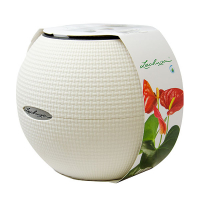 Вазон Lechuza Puro Color 20 білий купить