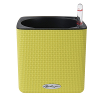 Вазон Lechuza Cube Color 16 зеленый купить