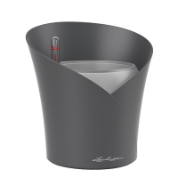 Вазон Lechuza Orchidea 20 сірий матовий купить