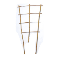 Лісеня 75 см купить