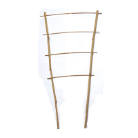 Лісеня 60 см купить