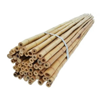 Бамбуковая опора 0,6м d-8-10мм купить