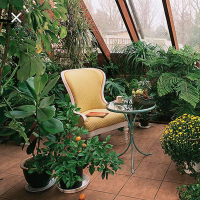 Послуги з догляду за зимовим садом, кімнатними рослинами (1 садівник, але не менше 2х год.), ціна за купить