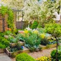 Підготовчі роботи під озеленення: штикування території під озеленення вручну, м/кв. купить