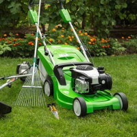 Покіс газону (газонокосарка підрядника, у тому числі вивезення скошеної трави), ціна за сотку купить