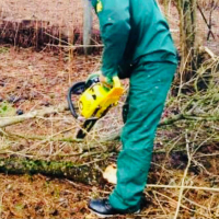 Выкорчевка кустарников (без вывоза отходов): диаметр кроны от 50 см до 100 см купить