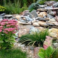 Роботи зі створення альпійської гірки (без вартості матеріалів та рослин), ціна за м/кв. купить