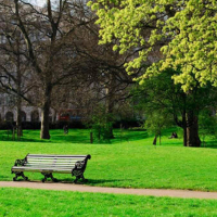 Парковий газон, ціна за м/кв. купить