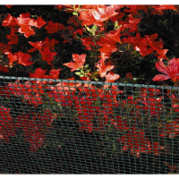 Сітка Квадро 10 кв. купить