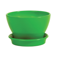 КС Фиалочница 16 глянец зеленый купить