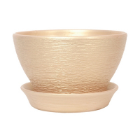 КС фиалочница 16 люкс персик купить